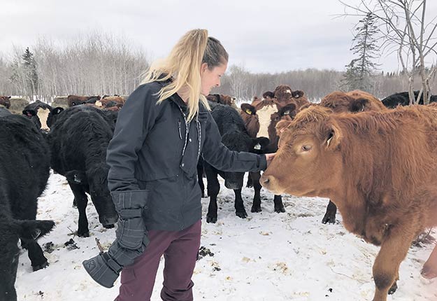 Geneviève Migneault possède 400 vaches reproductrices et en fait inséminer la moitié. Photo : Caroline Morneau/TCN