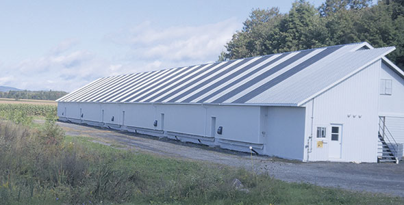 Cinq récupérateurs ont été installés sur toute la longueur du poulailler de 260 pieds afin de bien équilibrer la ventilation de base et assurer une homogénéité de l’air à l’intérieur.