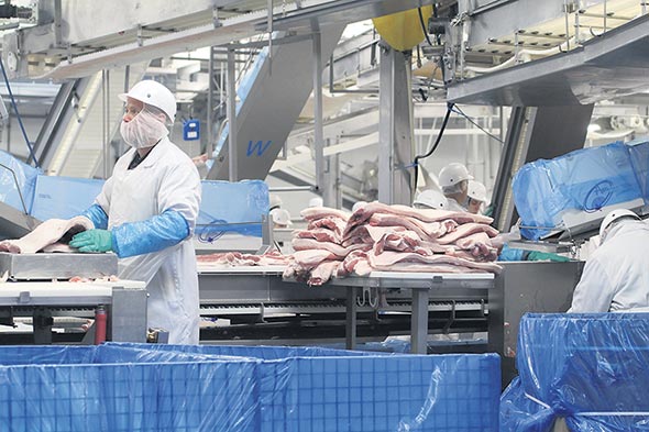 L’usine Olymel de Yamachiche est ouverte depuis mercredi. Photo : Myriam Laplante El Haïli/Archives TCN