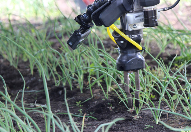 Le gouvernement investit 92,5 M$ pour stimuler les investissements agricoles en robotisation et automatisation pour répondre aux problèmes de main-d’œuvre dans les fermes du Québec. Crédit : David Riendeau/Archives TCN