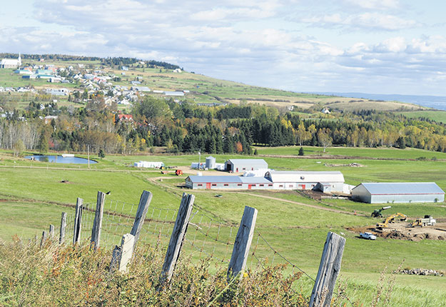 À compter de la fin de l’été, Québec prévoit brancher 15 000 nouveaux foyers par mois à Internet haute vitesse. Photo : Archives/TCN