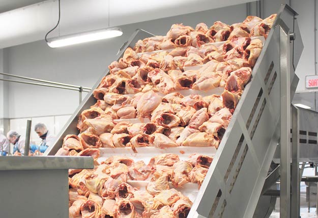 L’usine Exceldor de Saint-Anselme traite en moyenne un million de poulets par semaine. Il s’agit de l’une des plus importantes usines de transformation de la province. Archives / TCN