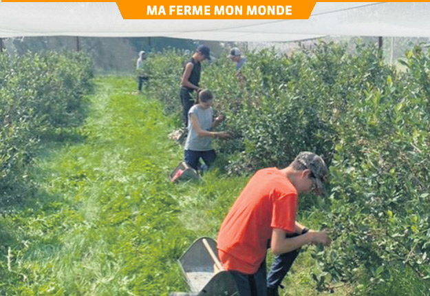 Les séances servent à préparer les jeunes à la cueillette des fraises et des bleuets. Photo : Gracieuseté du Centre d’emploi agricole d’Outaouais-Laurentides