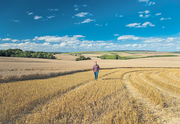 La recherche menée par Didier Dolbec s’est effectuée en partenariat avec les Producteurs de lait du Québec auprès de 456 agriculteurs. Photo : Shutterstock