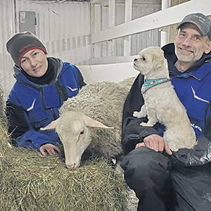 À Saint-Malo, Anie Stébenne et son conjoint Martin Boudreau commenceront la production de lait de brebis au printemps. Photo : Gracieuseté d’Anie Stébenne