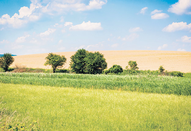 Entre 2009 et 2019, la valeur des terres a augmenté de 324 % avec une croissance moyenne de 13 % par année. Photo : Shutterstock