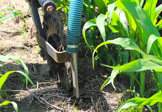 Les cultures de couverture, grandement encouragées par Québec, font partie des mesures visées par le programme de rétribution des pratiques agroenvironnementales. Les agriculteurs auront huit semaines pour s’inscrire auprès de la Financière, soit du 7 mars au 30 avril. Photo : Myriam Laplante El Haïli/Archives TCN