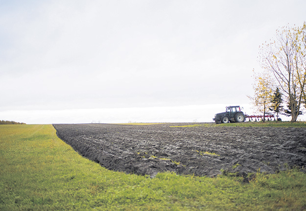 Les recettes monétaires que les producteurs agricoles québécois ont tirées du marché en 2021 ont atteint 10,5 G$, soit une hausse de 9 % par rapport à 2020. Photo : Martin Ménard/Archives TCN