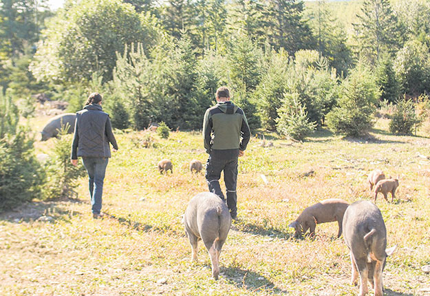 Les agriculteurs ont cinq ans après avoir participé au programme d’appui financier à la relève de la FADQ pour faire une demande de rabais aux programmes d’assurance stabilisation et d’assurance récolte. Photo : Archives/TCN