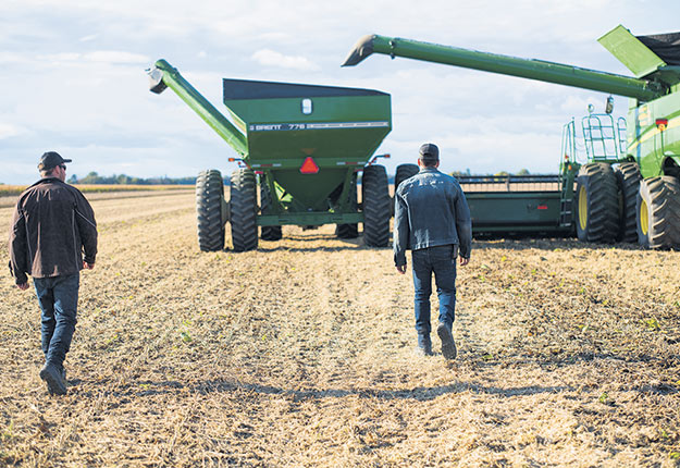 Selon le Centre d’études sur les coûts de production en agriculture, les producteurs de maïs et de soya travaillent moins d’heures par hectare qu’en 2009. Photo : Martin Ménard/ArchivesTCN