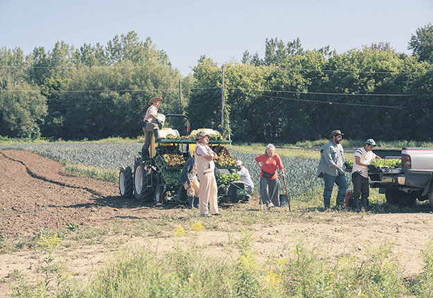 Une scène de la série Le temps des framboises, réalisée par Philippe Falardeau. Photo : Lou Scamble