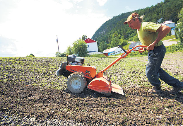 Les légumes n’ont qu’à bien se tenir en mai, car la température pourrait demeurer fraîche par moments. Photo : Martin Ménard/Archives TCN