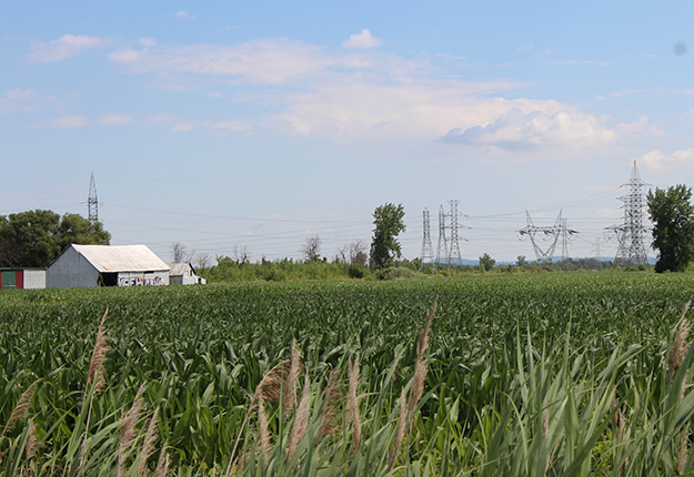 Un lot de onze hectares de terres agricoles situé aux abords de la nouvelle station terminale du Réseau express métropolitain à Brossard vient d’être acheté par la Fiducie agricole REM. Photo : Patricia Blackburn/TCN