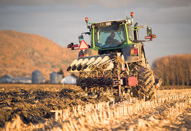 La Terre a demandé à trois analystes de se prononcer sur les perspectives de prix des grains pour l’automne. Photo : Martin Ménard/Archives TCN