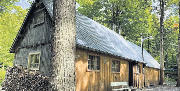 Normand St-Jacques exploite sa cabane à sucre depuis 1997 sur le lot contigu de son fils Christian.