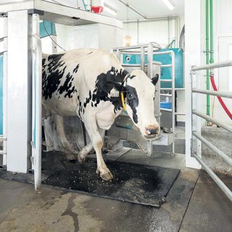 Le DairyRobot R9500 permettrait de réduire le temps de traite de 5 %, selon le représentant Jérôme Voyer.