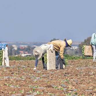 Des chercheurs d’emploi étrangers, par exemple des Philippines, se font promettre du travail au Canada par des fraudeurs en échange de milliers de dollars.