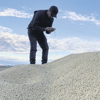 Les stocks de grains sont serrés, ce qui contribue à maintenir des prix élevés, mais différents facteurs pourraient déstabiliser les prix et entraîner une baisse. Photo : Martin Ménard/TCN