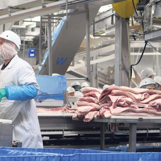 La baisse des capacités d’abattage des transformateurs comme Olymel, lequel transforme 80 % des porcs élevés au Québec, cause des maux de tête aux Éleveurs de porcs du Québec, qui jusqu’ici, n’avaient pas le pouvoir de gérer une décroissance de la production de porcs dans les élevages. Photo : Myriam Laplante El Haïli/Archives TCN