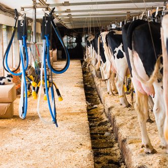 Des journées additionnelles de production ont été annoncées pour l’automne 2023, à raison d’une en août, deux en septembre, deux en octobre et une en novembre. Photo : Martin Ménard/Archives TCN