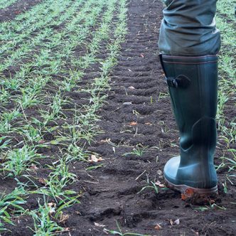 Le changement de bottes est une consigne de biosécurité qui serait souvent mal exécutée. Photo : Shutterdock