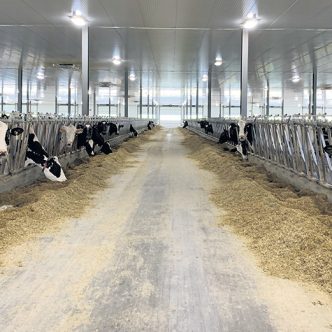 En 2021, le chiffre d’affaires de la moyenne des 127 fermes évaluées se situait à 1,5 M$. Photo : Caroline Morneau/Archives TCN