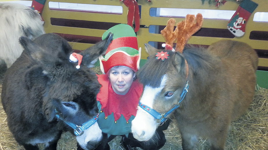 Nathalie Desjardins, propriétaire de la Ferme Napoli, participe avec ses animaux aux marchés de Noël depuis 25 ans. Photo : La Ferme Napoli