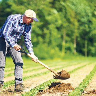 La Stratégie pour une agriculture durable définira des cibles et des moyens pour les atteindre, selon différentes priorités, dont la santé des sols, la résilience aux changements climatiques, la qualité et l’approvisionnement en eau ainsi que la biodiversité. Photo : Martin Ménard/Archives TCN