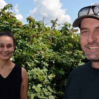 Un nouveau président de l’Association des producteurs de fraises et framboises du Québec sera élu le 22 février pour succéder à David Lemire. Photo : Archives/TCN