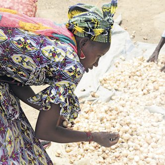 Même si des milliers de kilomètres séparent le Québec du continent africain, La Terre fait le pari que les histoires racontées par des producteurs de là-bas ne laisseront pas ses lecteurs indifférents. Photo : Gracieuseté de SOCODEVI