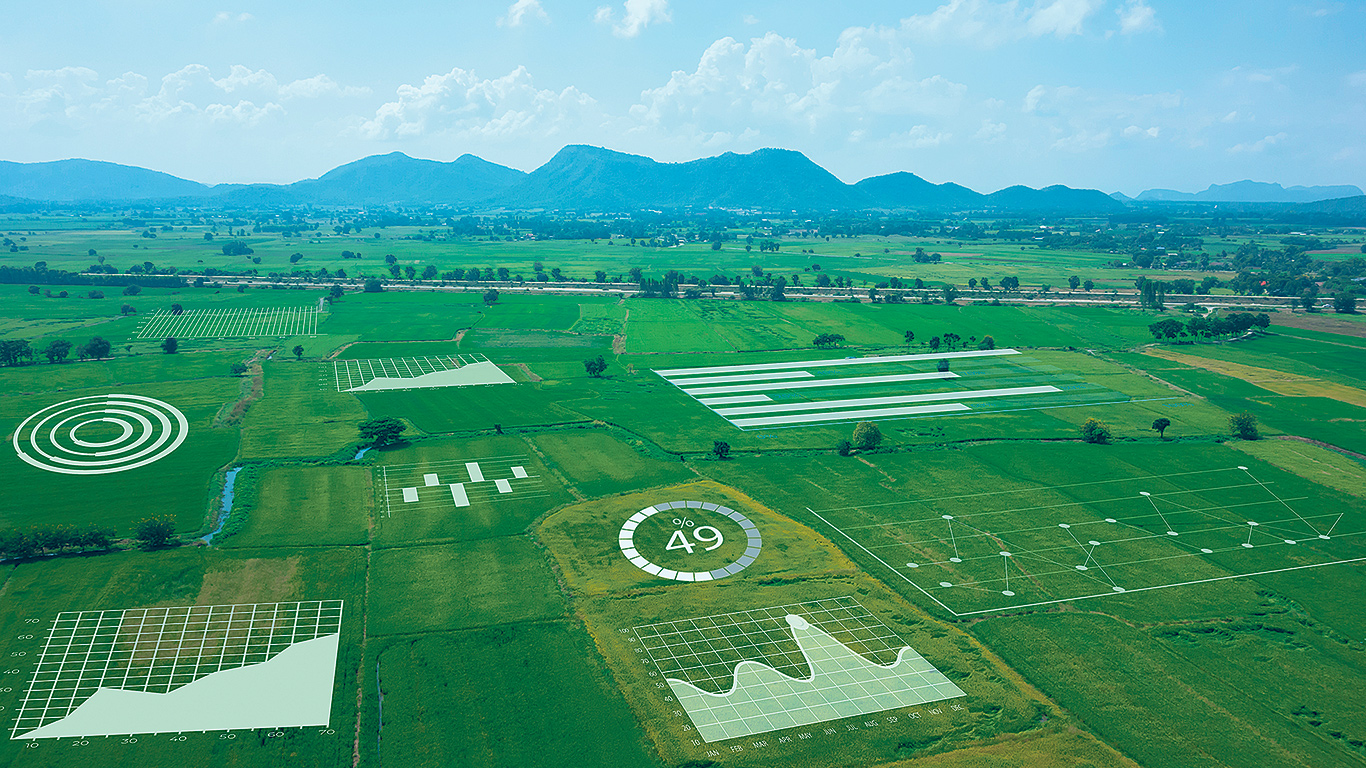 En agriculture comme dans d’autres domaines, l’intelligence artificielle est devenue très performante pour remplacer les yeux d’un travailleur humain. Photo : Shutterstock.com