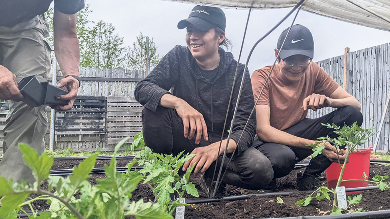 Différents intervenants du milieu agroalimentaire aident les Atikamekw à faire pousser leurs légumes afin d’améliorer la santé de leur communauté. Photo : Isabelle Touchette