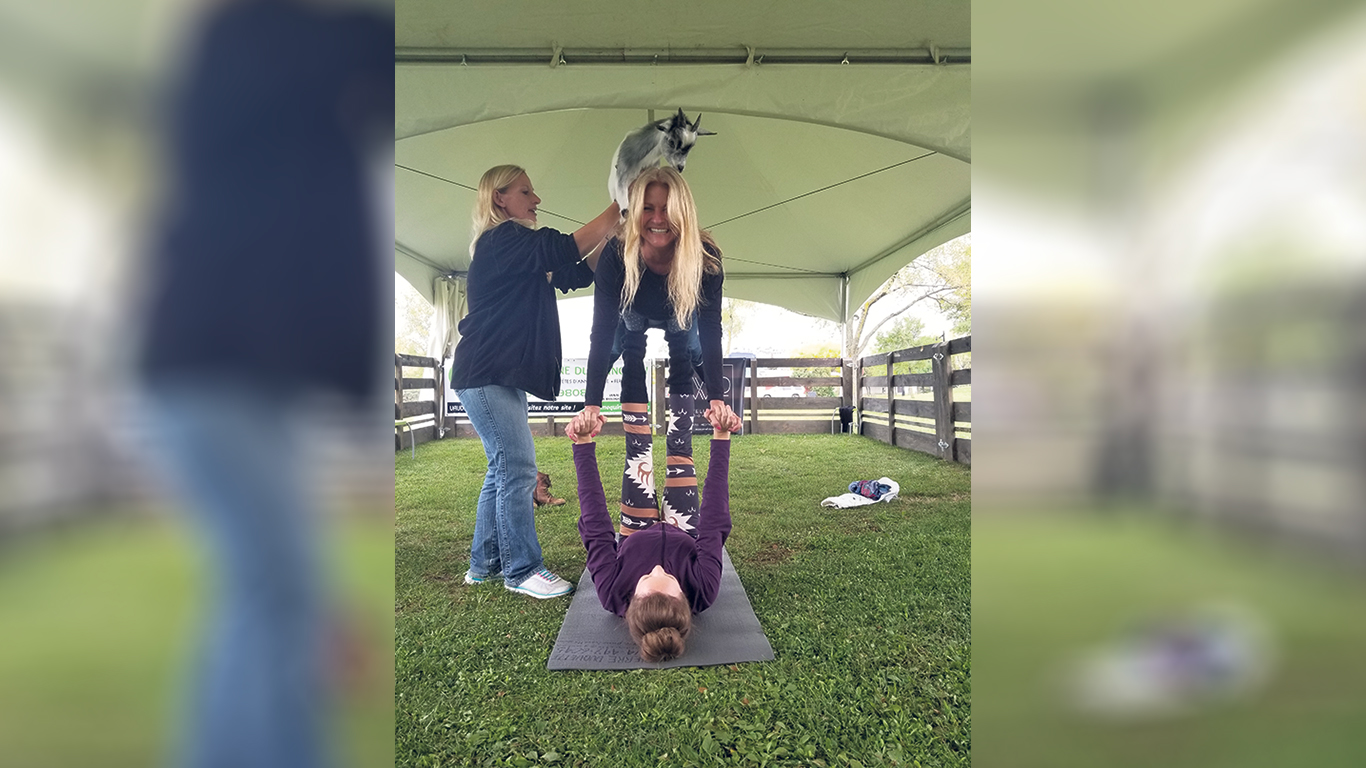 Le yoga-chèvres fait partie des activités offertes par la Ferme du domaine Quinchien. Photos : Gracieuseté de la Ferme du domaine Quinchien