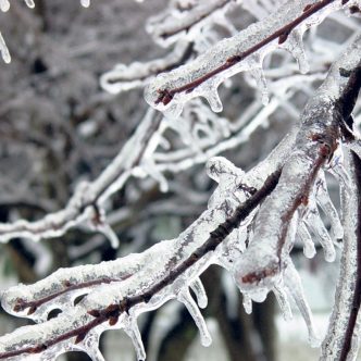 Les catastrophes naturelles peuvent arriver à n’importe quel moment sur votre ferme et il est important d'être bien préparés pour y faire face, dans l'optique de limiter les répercussions possibles. Photo : Archives/TCN