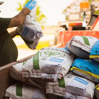 Les Producteurs de grains du Québec sont soulagés que le fédéral ne les empêche pas de bénéficier de variétés plus performantes issues de l'édition génomique. Photo : Martin Ménard/Archives TCN