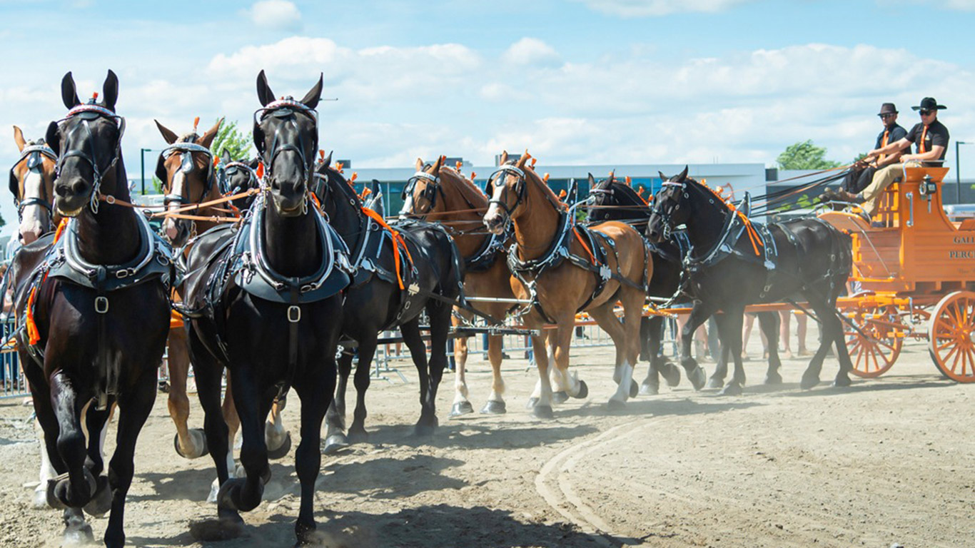 La présentation d’un attelage de 10 chevaux avait été un grand succès en 2022, selon les organisateurs. Photo : Facebook/Expo agricole de Saint-Hyacinthe