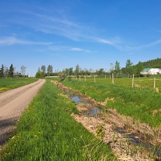 La Décharge du collège n’est plus aussi sinueuse qu’avant. Le petit ruisseau souffre désormais des modifications apportées à son tracé. Crédit photo : Gracieuseté d’Olivier Boudreault