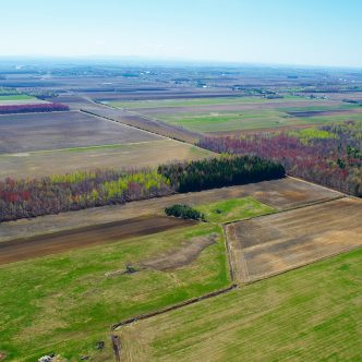 Le chantier sera mené par le ministère de l’Environnement, de la Lutte contre les changements climatiques, de la Faune et des Parcs. Photo : Archives/TCN