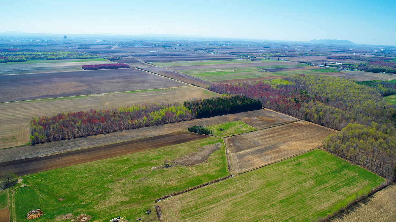 Le chantier sera mené par le ministère de l’Environnement, de la Lutte contre les changements climatiques, de la Faune et des Parcs. Photo : Archives/TCN