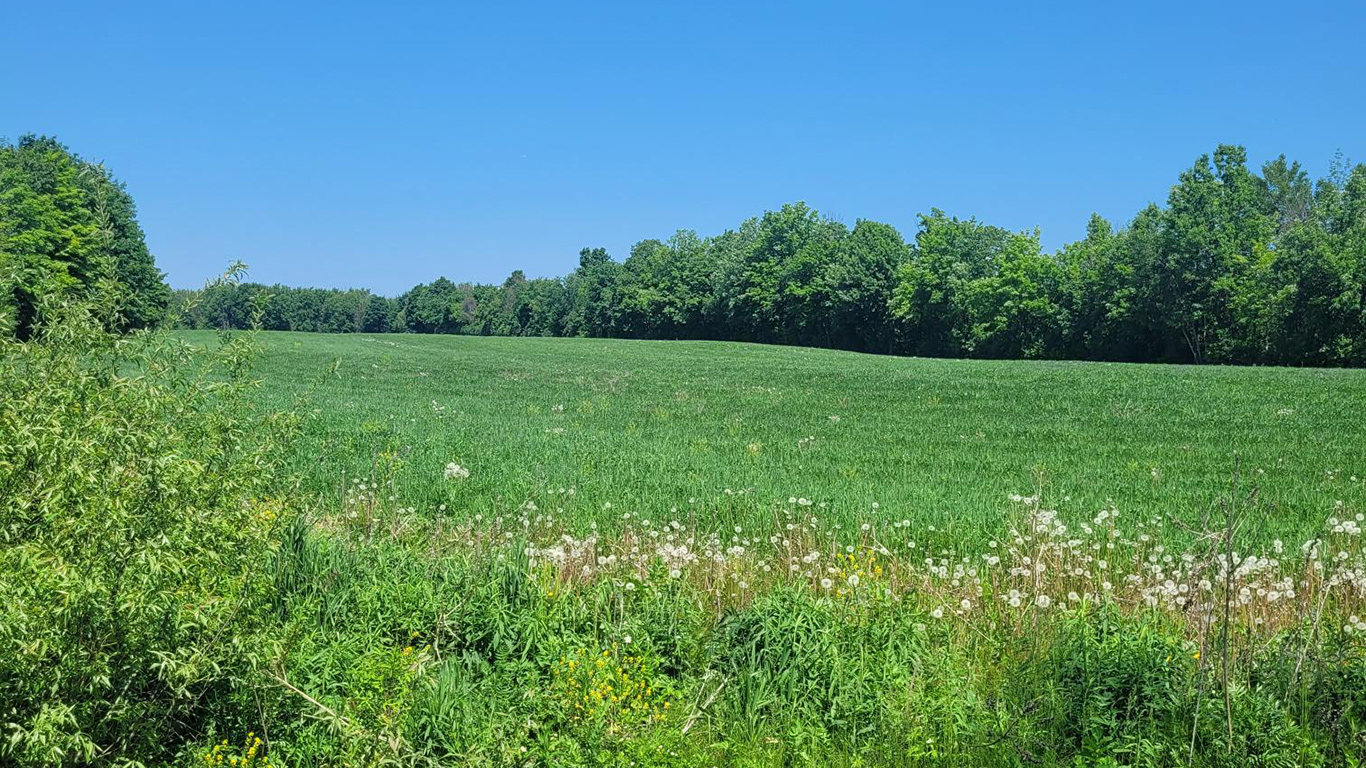 Une terre de 29 hectares, dont 19 sont cultivables, a été rachetée par la Ville de Boisbriand pour créer une FUSA. Photo : Gracieuseté de la Ville de Boisbriand