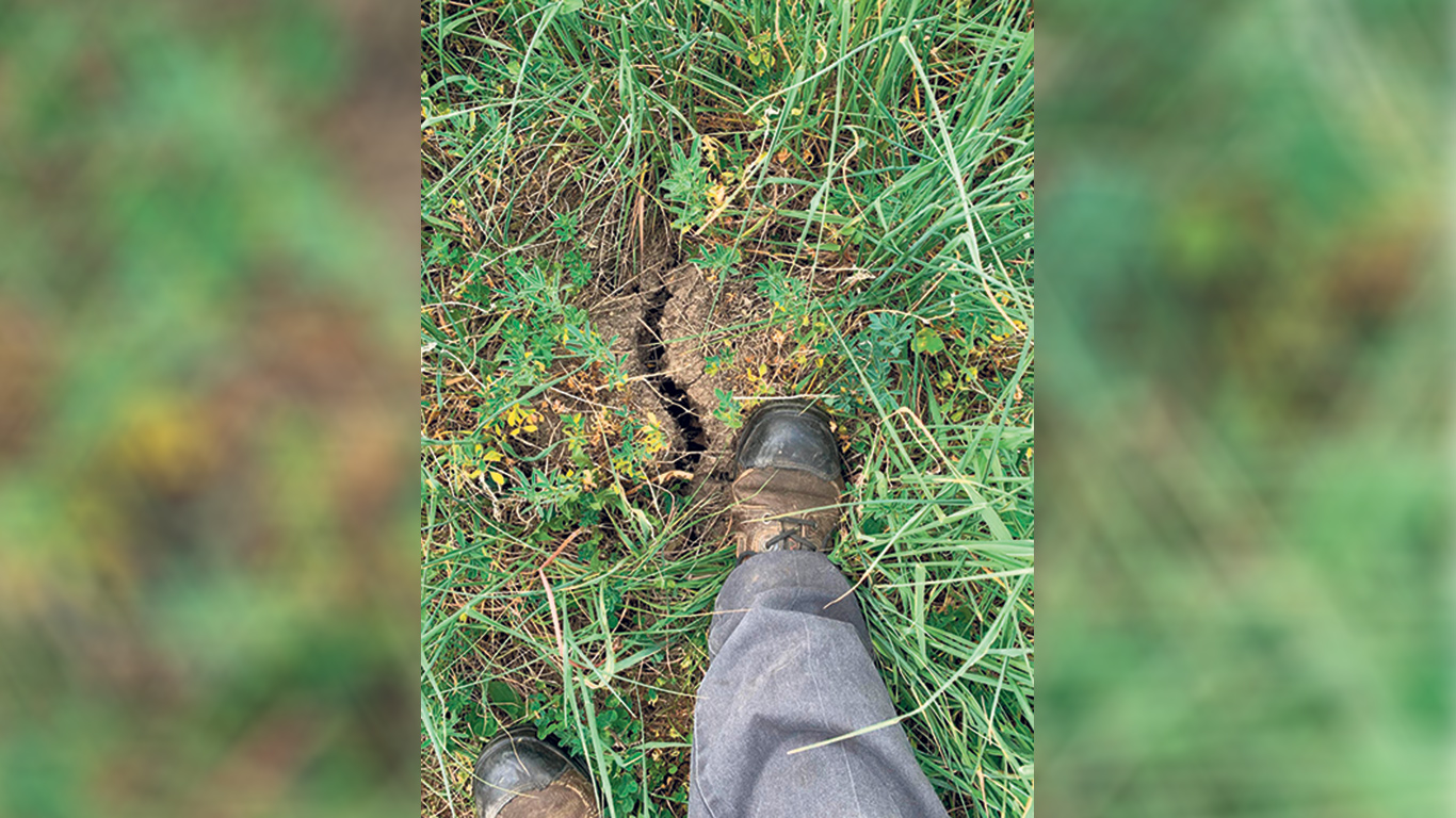 Les producteurs d’Abitibi-Ouest n’avaient pas eu de pluie depuis le début mai, en date du 19 juillet. Photo : Gracieuseté de l’UPA d’Abitibi-Témiscamingue