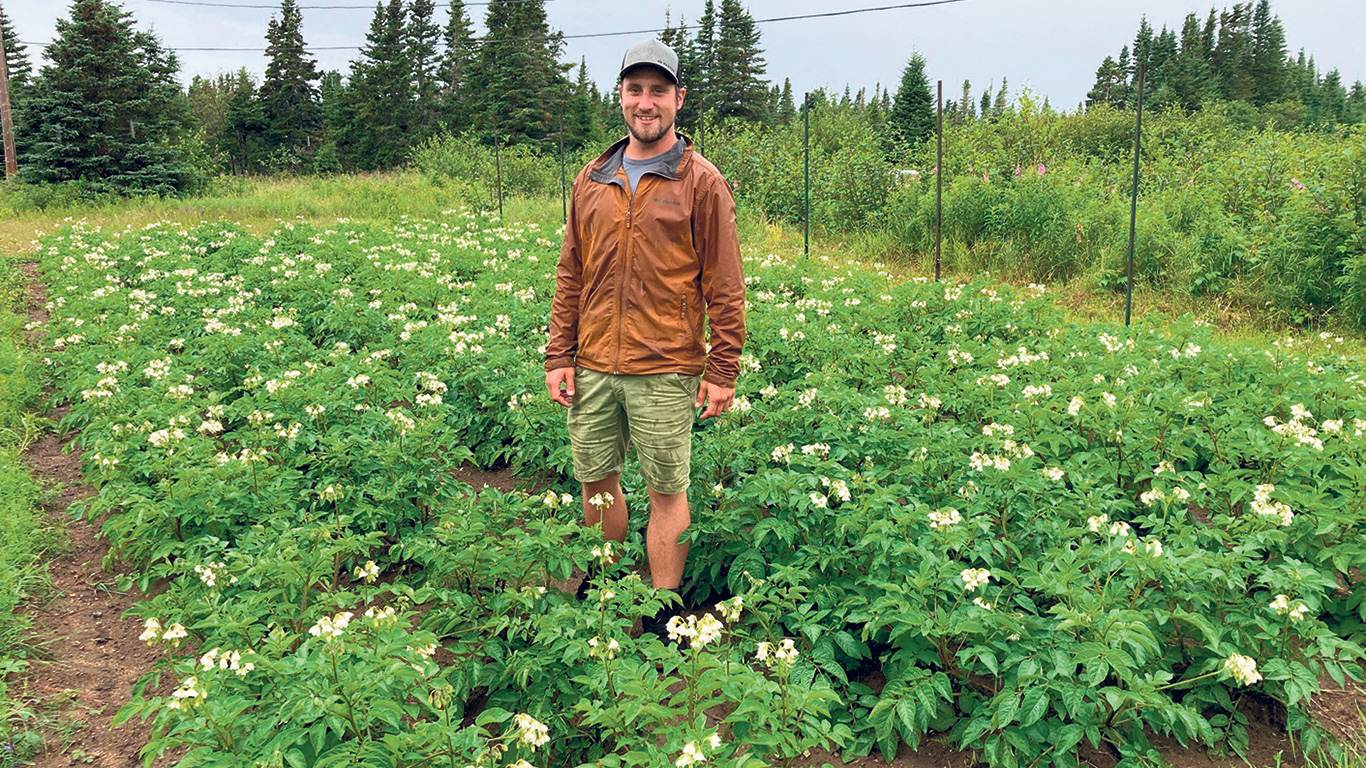 Alex Beaudin, président du conseil d’administration de la coopérative de Rivière-Saint-Jean Magpie, a accueilli La Terre dans le jardin consacré à la multiplication des tubercules de patates bleues de la Minganie. Photo : Geneviève Quessy