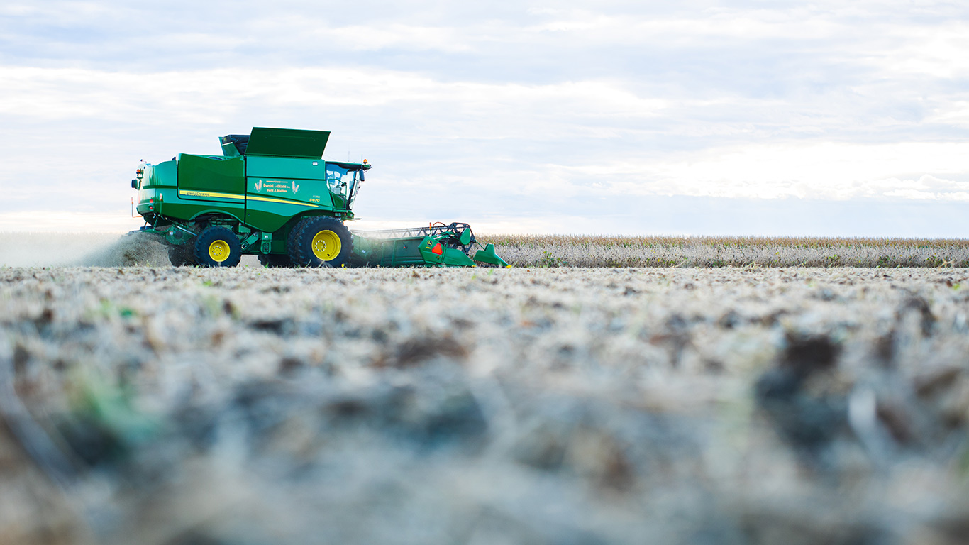 Le prix du soya incitera plusieurs producteurs à le vendre à la récolte. D’autres pourraient être tentés de l’entreposer en espérant une hausse de prix plus tard dans une année dictée par des inventaires serrés. Photo : Martin Ménard/Archives TCN