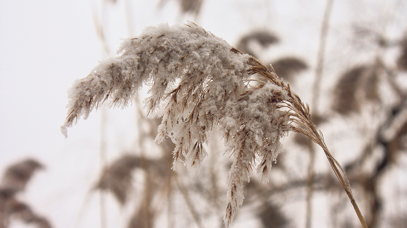 La fraîcheur teintera le début du mois de novembre, ouvrant la porte aux premières accumulations de neige à travers la province. Photo : Kelsey Vere/Pixabay