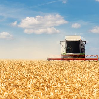 La dette agricole totale en cours au Québec a augmenté de près de 44 % en 5 ans. Par comparaison, elle a augmenté de 28 % en Ontario et de 30 % au Canada. Photo : Shutterstock