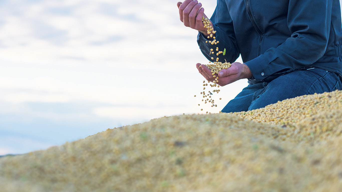 Le soya a été la culture championne de 2023. Photo : Martin Ménard/Archives TCN