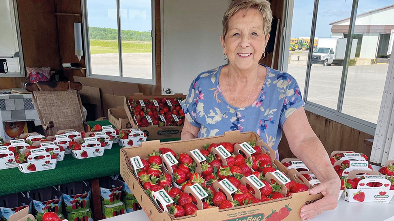 Au kiosque de FraiseBec, les ventes allaient déjà bon train la dernière semaine de mai, et les récoltes semblaient prometteuses. Photo : Gracieuseté de FraiseBec