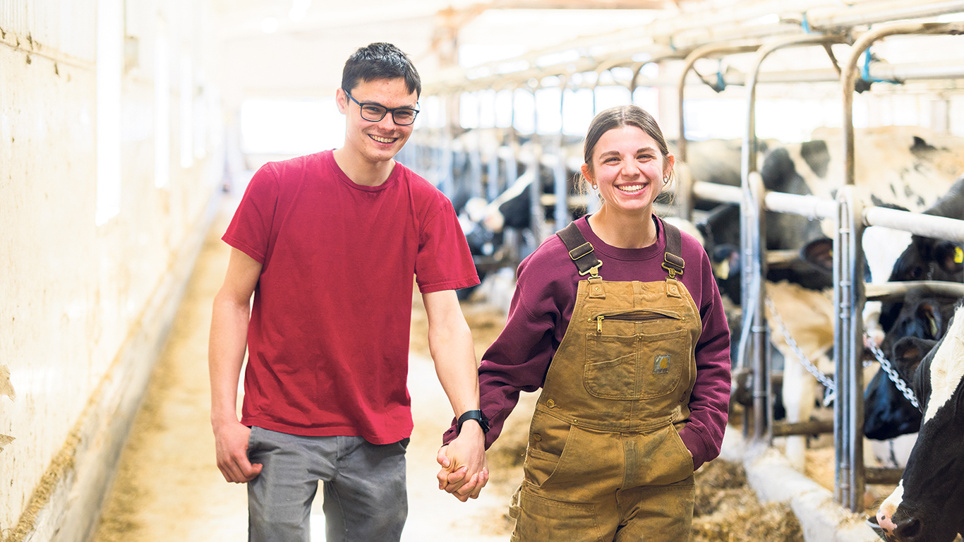 Tommy Labrie et Laurence Lacroix se sont rencontrés à l’école et travaillent ensemble à la ferme des parents de Tommy depuis l’âge de 19 ans. Ils espèrent y vivre ainsi de longues années. Photos : Martin Ménard/TCN