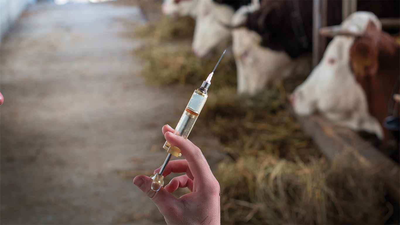 Par son obligation de collaboration, le médecin vétérinaire doit vous soutenir et vous donner les informations nécessaires pour vous débarrasser sécuritairement des déchets pharmaceutiques. Photo : Gracieuseté de l’Ordre des médecins vétérinaires du Québec