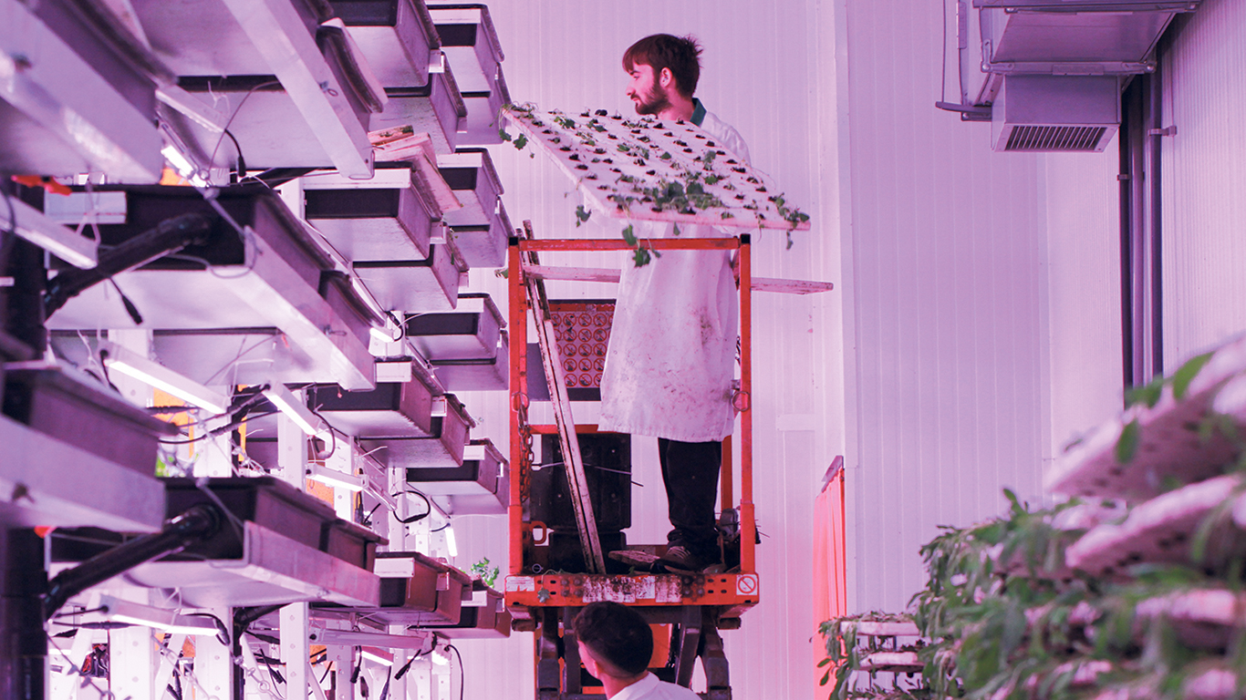 La ferme verticale sème 40 000 graines de verdure par jour sur sept étages de production. Photos : Myriam Laplante El Haïli/TCN